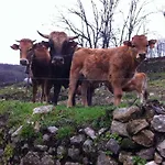 Casa Rural Sierra De Tormantos