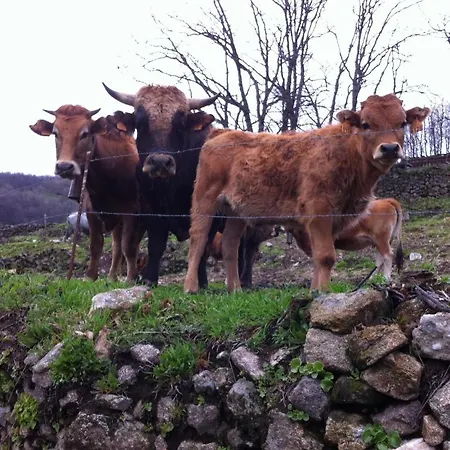 Casa Rural Sierra De Tormantos