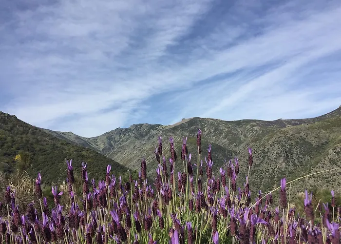 Casa rural Sierra De Tormantos *